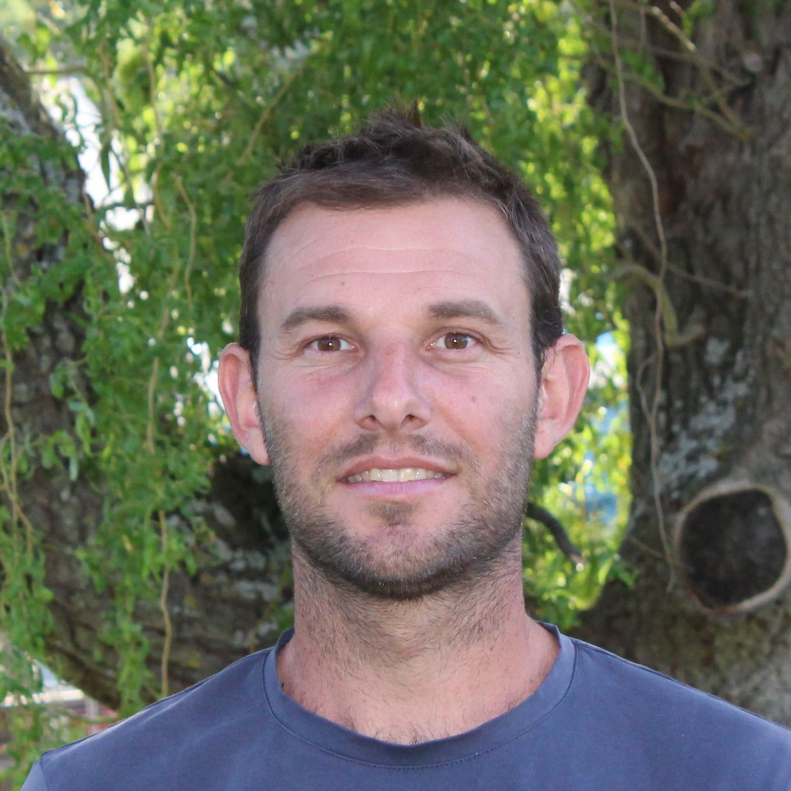 Entreprise Gerard Tom Elagage arboriste grimpeur